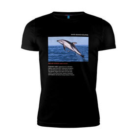 Мужская футболка премиум с принтом White-beaked Dolphin в Тюмени, 92% хлопок, 8% лайкра | приталенный силуэт, круглый вырез ворота, длина до линии бедра, короткий рукав | animals | red book | red list | животные | животные из красной книги | красная книга | редкие животные