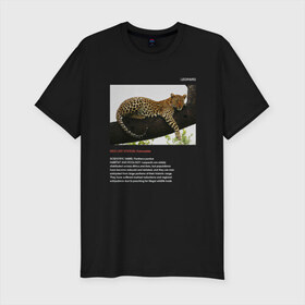 Мужская футболка премиум с принтом Leopard в Тюмени, 92% хлопок, 8% лайкра | приталенный силуэт, круглый вырез ворота, длина до линии бедра, короткий рукав | animals | red book | red list | животные | животные из красной книги | красная книга | редкие животные