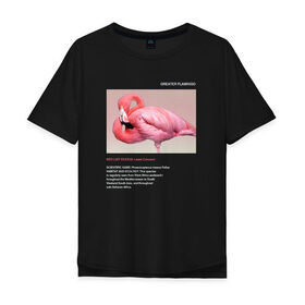 Мужская футболка хлопок Oversize с принтом Greater Flamingo в Тюмени, 100% хлопок | свободный крой, круглый ворот, “спинка” длиннее передней части | Тематика изображения на принте: animals | red book | red list | животные | животные из красной книги | красная книга | редкие животные | фламинго