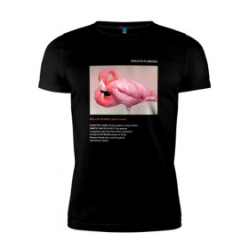 Мужская футболка премиум с принтом Greater Flamingo в Тюмени, 92% хлопок, 8% лайкра | приталенный силуэт, круглый вырез ворота, длина до линии бедра, короткий рукав | animals | red book | red list | животные | животные из красной книги | красная книга | редкие животные | фламинго