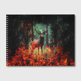 Альбом для рисования с принтом Олень в горящем лесу Сибири в Тюмени, 100% бумага
 | матовая бумага, плотность 200 мг. | животные | лес | огонь | олень | пламы | пожар | сибирь
