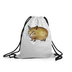Рюкзак-мешок 3D с принтом ЧИЛИПИ*ДРИК в Тюмени, 100% полиэстер | плотность ткани — 200 г/м2, размер — 35 х 45 см; лямки — толстые шнурки, застежка на шнуровке, без карманов и подкладки | internet | meme | memes | pikabu | интернет | картофель | картошка | киса | киска | кот | котенок | котик | коты | котята | кошки | мем | мемас | мемасы | мемы | пикабу | прикол | приколы | чикибряк | шутка | юмор