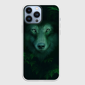 Чехол для iPhone 13 Pro Max с принтом Сибирь. Лесной волк в Тюмени,  |  | Тематика изображения на принте: safesibiria | siberia | алтай | волк | дикий | елки | ель | лес | охота | сибирь | сибирь горит | сибирьгорит | спаситесибирь | тайга | шерегеш | экология