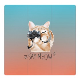 Магнитный плакат 3Х3 с принтом Say Meow в Тюмени, Полимерный материал с магнитным слоем | 9 деталей размером 9*9 см | meow | кот | котенок | котик | котики | котятка | кошка | мяу | скажи мяу | фотоаппарат | фотограф