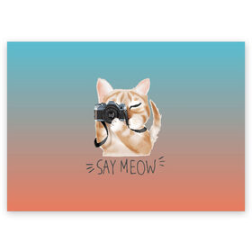 Поздравительная открытка с принтом Say Meow в Тюмени, 100% бумага | плотность бумаги 280 г/м2, матовая, на обратной стороне линовка и место для марки
 | Тематика изображения на принте: meow | кот | котенок | котик | котики | котятка | кошка | мяу | скажи мяу | фотоаппарат | фотограф