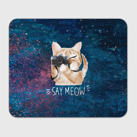 Коврик для мышки прямоугольный с принтом Say Meow в Тюмени, натуральный каучук | размер 230 х 185 мм; запечатка лицевой стороны | meow | кот | котенок | котик | котики | котятка | кошка | мяу | скажи мяу | фотоаппарат | фотограф