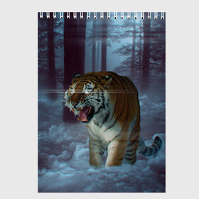 Скетчбук с принтом ТИГР В СУМЕРЕЧНОМ ЛЕСУ в Тюмени, 100% бумага
 | 48 листов, плотность листов — 100 г/м2, плотность картонной обложки — 250 г/м2. Листы скреплены сверху удобной пружинной спиралью | tiger | в лесу | дикая | кошка | лес | природа | тигр | тигренок | тигрица | тигры
