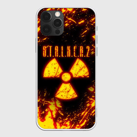 Чехол для iPhone 12 Pro Max с принтом S T A L K E R 2 в Тюмени, Силикон |  | bandit | chernobyl | pripyat | s.t.a.l.k.e.r. 2 | shadow of chernobyl | stalker | stalker 2 | бандиты | меченый | припять | сталкер | сталкер 2 | тени чернобыля | чернобыль | чистое небо