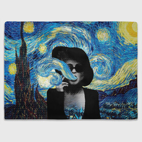 Плед 3D с принтом Марла на картине Ван Гога в Тюмени, 100% полиэстер | закругленные углы, все края обработаны. Ткань не мнется и не растягивается | ван гог | вангог | звездная ночь | картина | марла | марла сингер | модернизм | постмодерн | художник | экспонат | экспрессионизм
