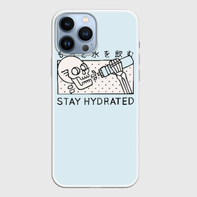 Чехол для iPhone 13 Pro Max с принтом STAY HYDRATED в Тюмени,  |  | death | japan | skeleton | sport | vegan | water | yoga | веган | вегетарианство | вода | йога | скелет | спорт | хэллоуин | череп | япония