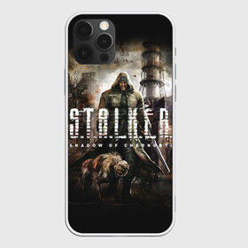 Чехол для iPhone 12 Pro с принтом S.T.A.L.K.E.R. в Тюмени, силикон | область печати: задняя сторона чехла, без боковых панелей | 2 | call of chernobyl | s.t.a.l.k.e.r. | shadow of chernobyl | stalker | зов припяти | зона | летс плей | моды | сталкер | стрим | тень чернобыля | чистое небо