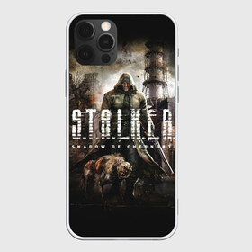 Чехол для iPhone 12 Pro Max с принтом S T A L K E R в Тюмени, Силикон |  | 2 | call of chernobyl | s.t.a.l.k.e.r. | shadow of chernobyl | stalker | зов припяти | зона | летс плей | моды | сталкер | стрим | тень чернобыля | чистое небо