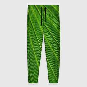 Женские брюки 3D с принтом Зелёный лист в Тюмени, полиэстер 100% | прямой крой, два кармана без застежек по бокам, с мягкой трикотажной резинкой на поясе и по низу штанин. В поясе для дополнительного комфорта — широкие завязки | abstract | абстрактно | абстрактный | абстракция | зеленый | зелень | лист | листок | листья | полоса | полоска | полосы | природа | флора