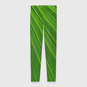 Леггинсы 3D с принтом Зелёный лист в Тюмени, 80% полиэстер, 20% эластан | Эластичный пояс, зауженные к низу, низкая посадка | abstract | абстрактно | абстрактный | абстракция | зеленый | зелень | лист | листок | листья | полоса | полоска | полосы | природа | флора