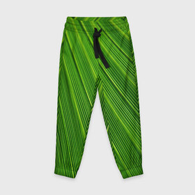 Детские брюки 3D с принтом Зелёный лист в Тюмени, 100% полиэстер | манжеты по низу, эластичный пояс регулируется шнурком, по бокам два кармана без застежек, внутренняя часть кармана из мелкой сетки | abstract | абстрактно | абстрактный | абстракция | зеленый | зелень | лист | листок | листья | полоса | полоска | полосы | природа | флора