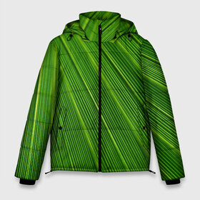Мужская зимняя куртка 3D с принтом Зелёный лист в Тюмени, верх — 100% полиэстер; подкладка — 100% полиэстер; утеплитель — 100% полиэстер | длина ниже бедра, свободный силуэт Оверсайз. Есть воротник-стойка, отстегивающийся капюшон и ветрозащитная планка. 

Боковые карманы с листочкой на кнопках и внутренний карман на молнии. | abstract | абстрактно | абстрактный | абстракция | зеленый | зелень | лист | листок | листья | полоса | полоска | полосы | природа | флора
