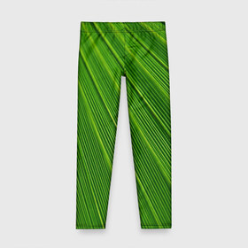 Детские леггинсы 3D с принтом Зелёный лист в Тюмени, полиэстер 85%, спандекс 15% | эластичный пояс, зауженный крой | abstract | абстрактно | абстрактный | абстракция | зеленый | зелень | лист | листок | листья | полоса | полоска | полосы | природа | флора
