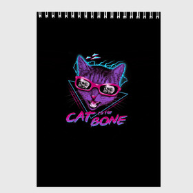 Скетчбук с принтом Cat To The Bone в Тюмени, 100% бумага
 | 48 листов, плотность листов — 100 г/м2, плотность картонной обложки — 250 г/м2. Листы скреплены сверху удобной пружинной спиралью | Тематика изображения на принте: 80 | bone | bones | cat | cyber | game | hotline | hotlinemiami | maiami | music | outrun | retro | retrowave | skull | synth | synthwave | игра | кибер | кот | кошка | ретро | череп