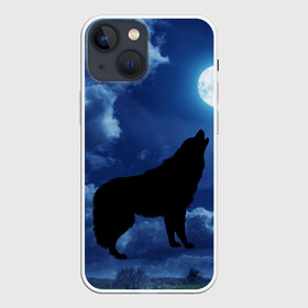 Чехол для iPhone 13 mini с принтом WOLF в Тюмени,  |  | wolf | волк | луна | ночь