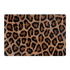Магнитный плакат 3Х2 с принтом Леопардовая расцветка в Тюмени, Полимерный материал с магнитным слоем | 6 деталей размером 9*9 см | Тематика изображения на принте: леопард | леопардовая | леопардовые | леопардовый | леопарды | пятнистые | пятнистый | пятнистым | расцветка