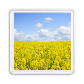 Магнит 55*55 с принтом Рапсовое поле в Тюмени, Пластик | Размер: 65*65 мм; Размер печати: 55*55 мм | небо | облака | облако | поле | поля | посев | посевы | природа | природный | рапс | рапсовое | рапсовый | рапсом | туча | тучи | урожаи | урожай | цветами | цветок | цветы