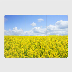 Магнитный плакат 3Х2 с принтом Рапсовое поле в Тюмени, Полимерный материал с магнитным слоем | 6 деталей размером 9*9 см | небо | облака | облако | поле | поля | посев | посевы | природа | природный | рапс | рапсовое | рапсовый | рапсом | туча | тучи | урожаи | урожай | цветами | цветок | цветы