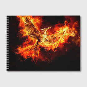 Альбом для рисования с принтом Феникс в огне в Тюмени, 100% бумага
 | матовая бумага, плотность 200 мг. | Тематика изображения на принте: fire | flame | phoenix | крылья | огонь | перья | пламя | птица | феникс
