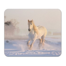 Коврик для мышки прямоугольный с принтом Белая лошадь на снегу в Тюмени, натуральный каучук | размер 230 х 185 мм; запечатка лицевой стороны | белая | белый | декабрь | животное | животные | звери | зверь | зима | зимний | зимой | кони | конь | копытные | копытный | лошади | лошадь | снег | снега | снегу | снежный | февраль | январь