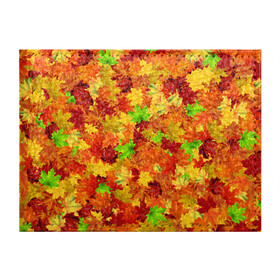 Обложка для студенческого билета с принтом Кленовые листья в Тюмени, натуральная кожа | Размер: 11*8 см; Печать на всей внешней стороне | багрец | клён | кленовый | лист | листопад | осенний | осень | паттрен