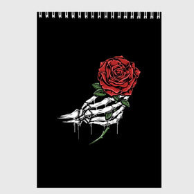 Скетчбук с принтом Рука скелета с розой в Тюмени, 100% бумага
 | 48 листов, плотность листов — 100 г/м2, плотность картонной обложки — 250 г/м2. Листы скреплены сверху удобной пружинной спиралью | core | hand | hardcore | skeleton | tatoo | роза | романтика | рука | скелет | тату | цветок | черный фон