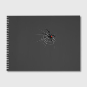 Альбом для рисования с принтом Паук в Тюмени, 100% бумага
 | матовая бумага, плотность 200 мг. | animal | animals | poison | spider | venom | вдова | животные | каракурт | паук | паутина | паучок | черная | черная вдова | яд