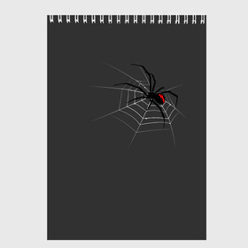 Скетчбук с принтом Паук в Тюмени, 100% бумага
 | 48 листов, плотность листов — 100 г/м2, плотность картонной обложки — 250 г/м2. Листы скреплены сверху удобной пружинной спиралью | animal | animals | poison | spider | venom | вдова | животные | каракурт | паук | паутина | паучок | черная | черная вдова | яд