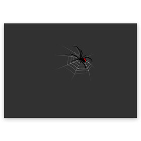 Поздравительная открытка с принтом Паук в Тюмени, 100% бумага | плотность бумаги 280 г/м2, матовая, на обратной стороне линовка и место для марки
 | animal | animals | poison | spider | venom | вдова | животные | каракурт | паук | паутина | паучок | черная | черная вдова | яд