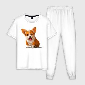 Мужская пижама хлопок с принтом Корги в Тюмени, 100% хлопок | брюки и футболка прямого кроя, без карманов, на брюках мягкая резинка на поясе и по низу штанин
 | вельш корги | домашние животные | корги | пес | собака | собачнику | щенок