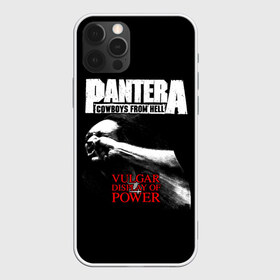 Чехол для iPhone 12 Pro Max с принтом Pantera в Тюмени, Силикон |  | american | anselmo | havy metal | pantera | philip anselmo | trash metal | ансельмо | пантера | фил ансельмо