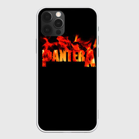 Чехол для iPhone 12 Pro Max с принтом Pantera в Тюмени, Силикон |  | american | anselmo | havy metal | pantera | philip anselmo | trash metal | ансельмо | пантера | фил ансельмо