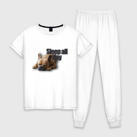 Женская пижама хлопок с принтом Спать весь день в Тюмени, 100% хлопок | брюки и футболка прямого кроя, без карманов, на брюках мягкая резинка на поясе и по низу штанин | пес | собака | сон | спать весь день | французский бульдог