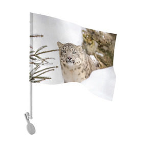 Флаг для автомобиля с принтом Ирбис в Тюмени, 100% полиэстер | Размер: 30*21 см | snow leopard | барс | барсы | животное | животные | звери | зверь | зима | зимы | ирбис | киски | кот | коты | кошачьи | кошка | кошки | мохнатые | мохнатый | пятнистые | пятнистый | снег | снежный