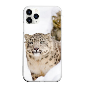 Чехол для iPhone 11 Pro матовый с принтом Ирбис в Тюмени, Силикон |  | snow leopard | барс | барсы | животное | животные | звери | зверь | зима | зимы | ирбис | киски | кот | коты | кошачьи | кошка | кошки | мохнатые | мохнатый | пятнистые | пятнистый | снег | снежный