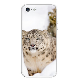 Чехол для iPhone 5/5S матовый с принтом Ирбис в Тюмени, Силикон | Область печати: задняя сторона чехла, без боковых панелей | snow leopard | барс | барсы | животное | животные | звери | зверь | зима | зимы | ирбис | киски | кот | коты | кошачьи | кошка | кошки | мохнатые | мохнатый | пятнистые | пятнистый | снег | снежный