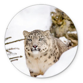 Коврик для мышки круглый с принтом Ирбис в Тюмени, резина и полиэстер | круглая форма, изображение наносится на всю лицевую часть | snow leopard | барс | барсы | животное | животные | звери | зверь | зима | зимы | ирбис | киски | кот | коты | кошачьи | кошка | кошки | мохнатые | мохнатый | пятнистые | пятнистый | снег | снежный