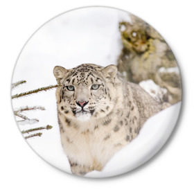 Значок с принтом Ирбис в Тюмени,  металл | круглая форма, металлическая застежка в виде булавки | snow leopard | барс | барсы | животное | животные | звери | зверь | зима | зимы | ирбис | киски | кот | коты | кошачьи | кошка | кошки | мохнатые | мохнатый | пятнистые | пятнистый | снег | снежный