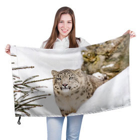Флаг 3D с принтом Ирбис в Тюмени, 100% полиэстер | плотность ткани — 95 г/м2, размер — 67 х 109 см. Принт наносится с одной стороны | snow leopard | барс | барсы | животное | животные | звери | зверь | зима | зимы | ирбис | киски | кот | коты | кошачьи | кошка | кошки | мохнатые | мохнатый | пятнистые | пятнистый | снег | снежный