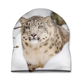 Шапка 3D с принтом Ирбис в Тюмени, 100% полиэстер | универсальный размер, печать по всей поверхности изделия | Тематика изображения на принте: snow leopard | барс | барсы | животное | животные | звери | зверь | зима | зимы | ирбис | киски | кот | коты | кошачьи | кошка | кошки | мохнатые | мохнатый | пятнистые | пятнистый | снег | снежный