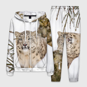 Мужской костюм 3D с принтом Ирбис в Тюмени, 100% полиэстер | Манжеты и пояс оформлены тканевой резинкой, двухслойный капюшон со шнурком для регулировки, карманы спереди | Тематика изображения на принте: snow leopard | барс | барсы | животное | животные | звери | зверь | зима | зимы | ирбис | киски | кот | коты | кошачьи | кошка | кошки | мохнатые | мохнатый | пятнистые | пятнистый | снег | снежный