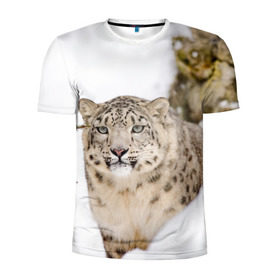 Мужская футболка 3D спортивная с принтом Ирбис в Тюмени, 100% полиэстер с улучшенными характеристиками | приталенный силуэт, круглая горловина, широкие плечи, сужается к линии бедра | Тематика изображения на принте: snow leopard | барс | барсы | животное | животные | звери | зверь | зима | зимы | ирбис | киски | кот | коты | кошачьи | кошка | кошки | мохнатые | мохнатый | пятнистые | пятнистый | снег | снежный