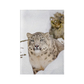 Обложка для паспорта матовая кожа с принтом Ирбис в Тюмени, натуральная матовая кожа | размер 19,3 х 13,7 см; прозрачные пластиковые крепления | Тематика изображения на принте: snow leopard | барс | барсы | животное | животные | звери | зверь | зима | зимы | ирбис | киски | кот | коты | кошачьи | кошка | кошки | мохнатые | мохнатый | пятнистые | пятнистый | снег | снежный