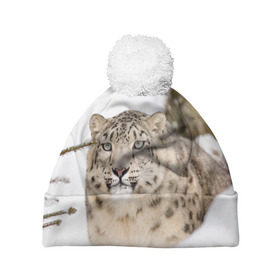 Шапка 3D c помпоном с принтом Ирбис в Тюмени, 100% полиэстер | универсальный размер, печать по всей поверхности изделия | snow leopard | барс | барсы | животное | животные | звери | зверь | зима | зимы | ирбис | киски | кот | коты | кошачьи | кошка | кошки | мохнатые | мохнатый | пятнистые | пятнистый | снег | снежный