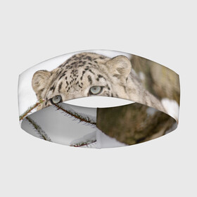 Повязка на голову 3D с принтом Ирбис в Тюмени,  |  | Тематика изображения на принте: snow leopard | барс | барсы | животное | животные | звери | зверь | зима | зимы | ирбис | киски | кот | коты | кошачьи | кошка | кошки | мохнатые | мохнатый | пятнистые | пятнистый | снег | снежный