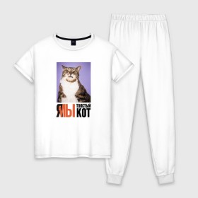 Женская пижама хлопок с принтом Я-МЫ толстый кот в Тюмени, 100% хлопок | брюки и футболка прямого кроя, без карманов, на брюках мягкая резинка на поясе и по низу штанин | викторлетай | кот | котики | мемы | приколы